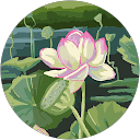 roro F. profile picture